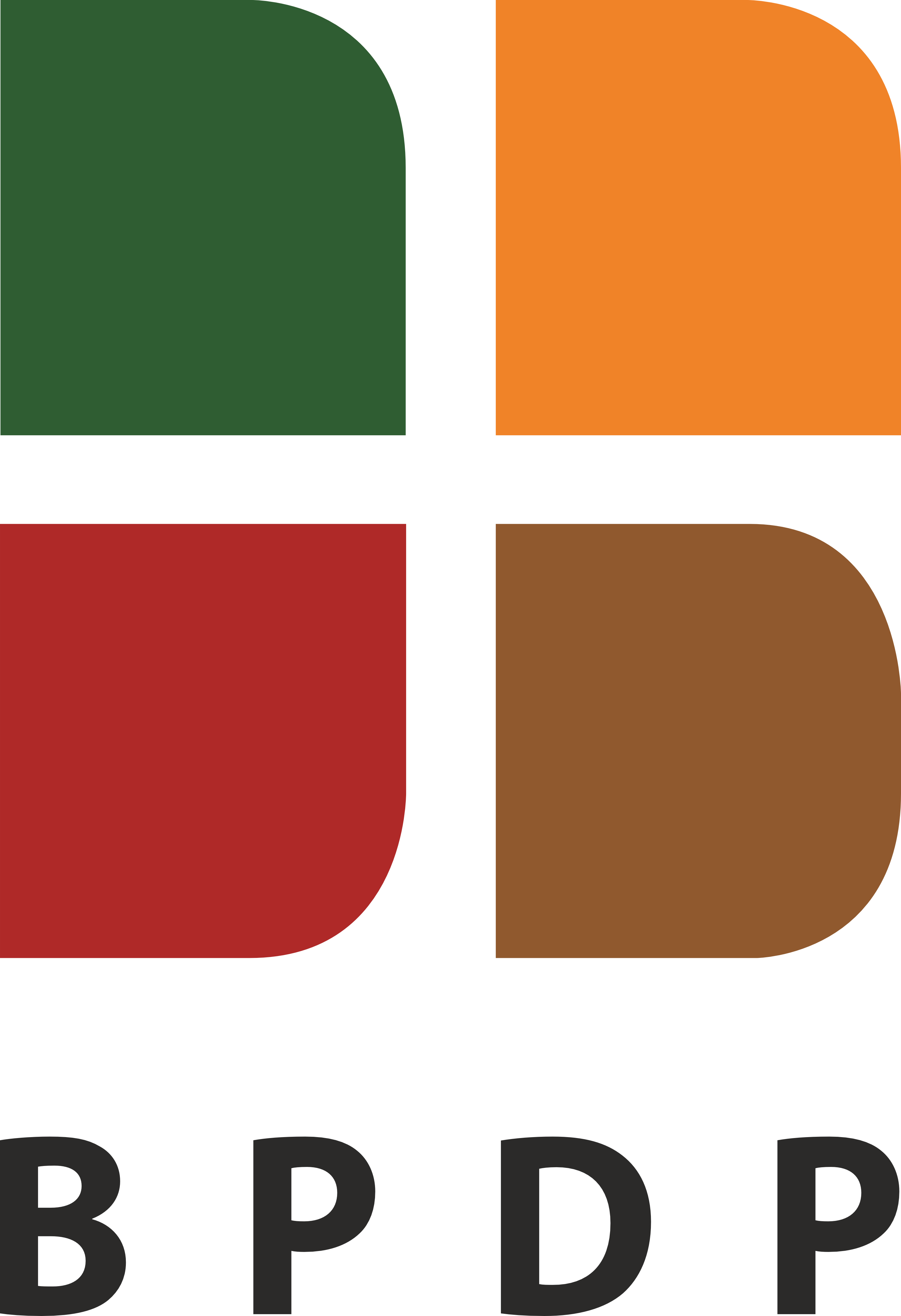 Logo BPDB